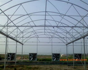 雙層充氣膜溫室有什么優點 山東潤澤建設, 雙層充氣膜溫室有什么優點 山東潤澤建設生產廠家, 雙層充氣膜溫室有什么優點