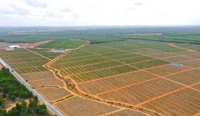 儋州榮獲全國&ldquo;最具農(nóng)業(yè)投資價值縣(區(qū))&rdquo;稱號