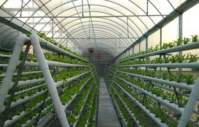 臺州市三門縣洋市涂6000畝現代農業基地開發項目