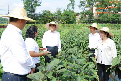 徐麟到省農(nóng)業(yè)科學(xué)院調(diào)研 馬漢成參加