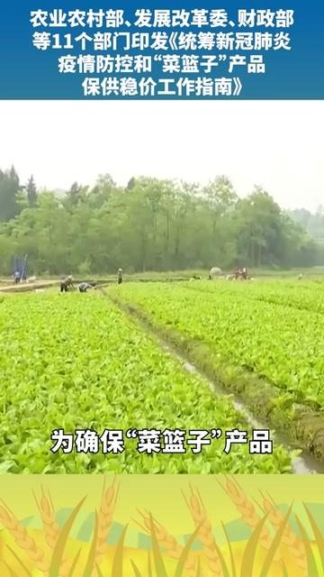 農(nóng)業(yè)農(nóng)村部 發(fā)展改革委 財政部等11個部門印發(fā)統(tǒng)籌新冠肺炎疫情防控和 菜籃子 產(chǎn)品保供穩(wěn)價工作指南