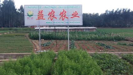 云南楚雄益農(nóng)農(nóng)業(yè)科技開發(fā)