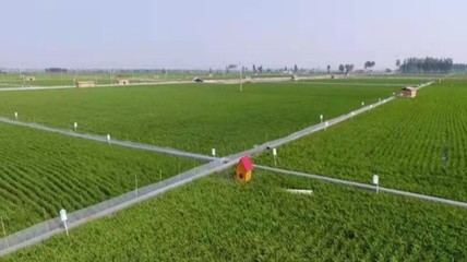 農(nóng)村致富新思路,挖掘農(nóng)村產(chǎn)業(yè)潛力,打造特色農(nóng)業(yè)產(chǎn)業(yè)鏈