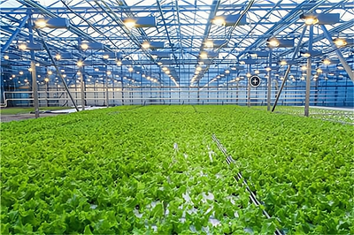 開一家天賦生態(tài)農(nóng)業(yè)開發(fā)加盟費(fèi)多少?大致需要8.1萬元起