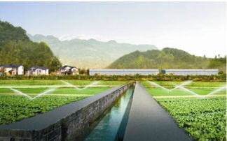生態農業成發展趨勢，武漢龜谷公司專業規劃服務受青睞