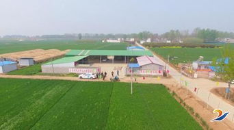 發(fā)展新型農(nóng)業(yè)，帶動(dòng)村民致富——農(nóng)業(yè)開發(fā)的新路徑