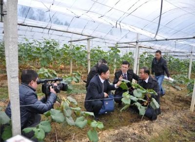 金融活水潤沃野 產品創新激活扶貧產業新動能