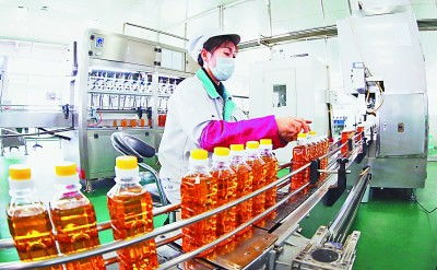 吉林 厚植黑土優(yōu)勢，賦能農(nóng)業(yè)升級，擘畫現(xiàn)代農(nóng)業(yè)新藍(lán)圖