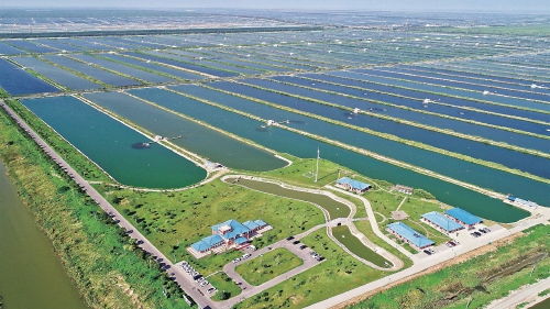 智慧農(nóng)業(yè)浪潮下，農(nóng)墾如何走在前列，引領(lǐng)農(nóng)業(yè)開發(fā)新篇章