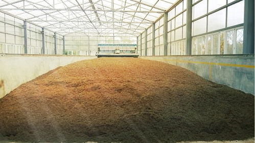 有機肥腐熟 農(nóng)業(yè)開發(fā)中的關(guān)鍵環(huán)節(jié)與科學(xué)實踐