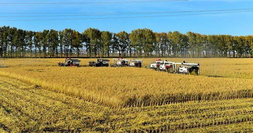 三產(chǎn)融合激發(fā)雪城現(xiàn)代農(nóng)業(yè)發(fā)展新活力